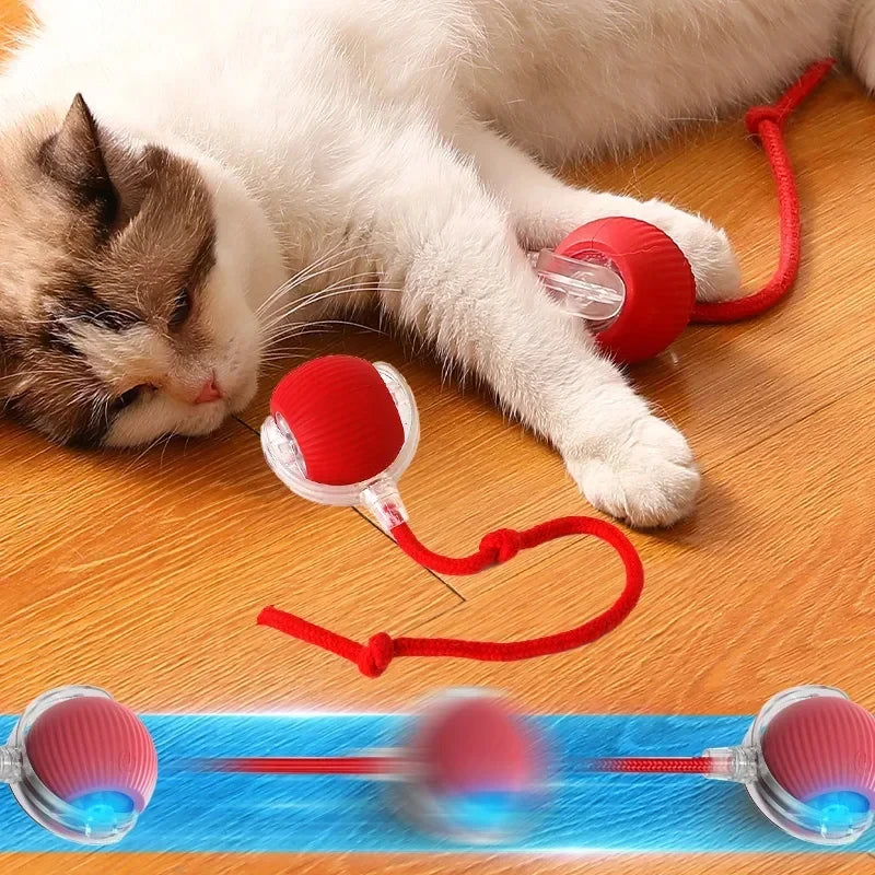 CatPro™ Ball