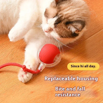 CatPro™ Ball